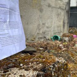 La ARMH exhumará del cementerio de Trabadelo a dos víctimas del franquismo naturales de Nogueira de Ramuín